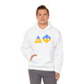 Delta Phi Two Toned Greek Lettered Hooded Sweatshirts