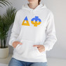 Delta Phi Two Toned Greek Lettered Hooded Sweatshirts