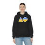 Delta Phi Two Toned Greek Lettered Hooded Sweatshirts