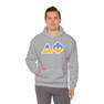 Delta Phi Two Toned Greek Lettered Hooded Sweatshirts