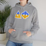 Delta Phi Two Toned Greek Lettered Hooded Sweatshirts
