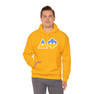 Delta Phi Two Toned Greek Lettered Hooded Sweatshirts
