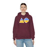 Delta Phi Two Toned Greek Lettered Hooded Sweatshirts
