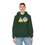 Delta Phi Two Toned Greek Lettered Hooded Sweatshirts