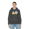 Delta Phi Two Toned Greek Lettered Hooded Sweatshirts