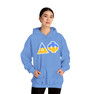 Delta Phi Two Toned Greek Lettered Hooded Sweatshirts