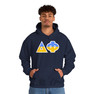 Delta Phi Two Toned Greek Lettered Hooded Sweatshirts