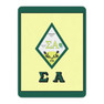 Printify Sigma Alpha Sherpa Big Lap Blanket
