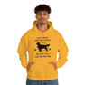 Printify Anything Your Dog Can Do, My Golden Retriever Can Do Better Hooded Sweatshirt 