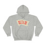 Delta Chi Pennant Hooded Sweatshirt