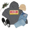 Delta Chi Billboard Hooded Sweatshirt