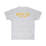 Delta Chi Established T-Shirt