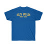 Delta Upsilon Established T-Shirt