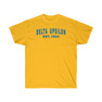  Delta Upsilon Established T-Shirt 