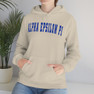 Alpha Epsilon Pi Letterman Hooded Sweatshirts