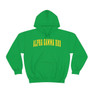 Alpha Gamma Rho Letterman Hooded Sweatshirts