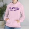 Alpha Kappa Lambda Established Hooded Sweatshirts