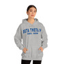 Beta Theta Pi Established Hooded Sweatshirts