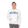 Beta Theta Pi Letterman Hooded Sweatshirts