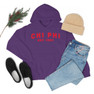 Chi Phi Established Hooded Sweatshirts