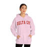 Delta Chi Letterman Hooded Sweatshirts