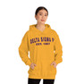 Delta Sigma Pi Established Hooded Sweatshirts