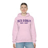 Delta Sigma Pi Established Hooded Sweatshirts