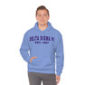 Delta Sigma Pi Established Hooded Sweatshirts