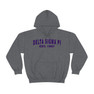 Delta Sigma Pi Established Hooded Sweatshirts