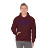 Delta Sigma Pi Established Hooded Sweatshirts