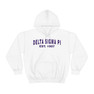 Delta Sigma Pi Established Hooded Sweatshirts