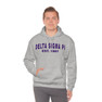 Delta Sigma Pi Established Hooded Sweatshirts