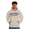 Delta Sigma Pi Established Hooded Sweatshirts