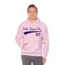 Delta Sigma Pi Tail Hooded Sweatshirts