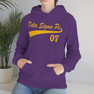  Delta Sigma Pi Tail Hooded Sweatshirts 