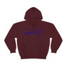  Delta Sigma Pi Tail Hooded Sweatshirts 