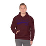  Delta Sigma Pi Tail Hooded Sweatshirts 