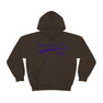  Delta Sigma Pi Tail Hooded Sweatshirts 