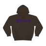 Delta Sigma Pi Letterman Hooded Sweatshirts