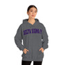 Delta Sigma Pi Letterman Hooded Sweatshirts