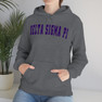 Delta Sigma Pi Letterman Hooded Sweatshirts