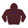 Delta Sigma Pi Letterman Hooded Sweatshirts