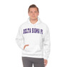 Delta Sigma Pi Letterman Hooded Sweatshirts