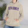 Delta Sigma Pi Letterman Hooded Sweatshirts