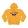  Delta Sigma Pi Group Hooded Sweatshirts 