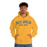 Delta Upsilon Established Hooded Sweatshirts