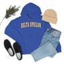 Delta Upsilon Letterman Hooded Sweatshirts
