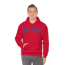 Delta Upsilon Letterman Hooded Sweatshirts