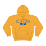 Delta Upsilon Group Hooded Sweatshirts