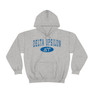 Delta Upsilon Group Hooded Sweatshirts